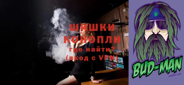 прущие грибы Магас