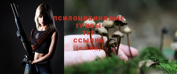 стаф Балахна