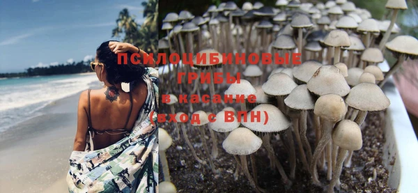 кокс Баксан