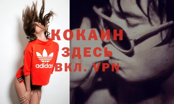 стаф Балахна