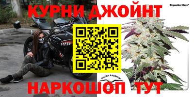 шишки Гусь-Хрустальный