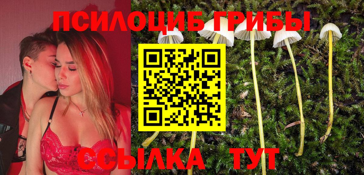 Галлюциногенные грибы Magic Shrooms  Вход с VPN  Новый Уренгой 