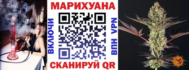 хочу   Новый Уренгой  Бошки марихуана сатива 
